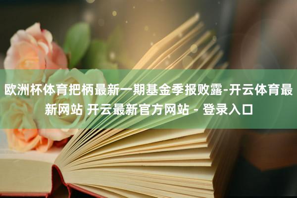 欧洲杯体育把柄最新一期基金季报败露-开云体育最新网站 开云最新官方网站 - 登录入口