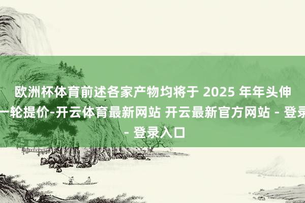 欧洲杯体育前述各家产物均将于 2025 年年头伸开新一轮提价-开云体育最新网站 开云最新官方网站 - 登录入口