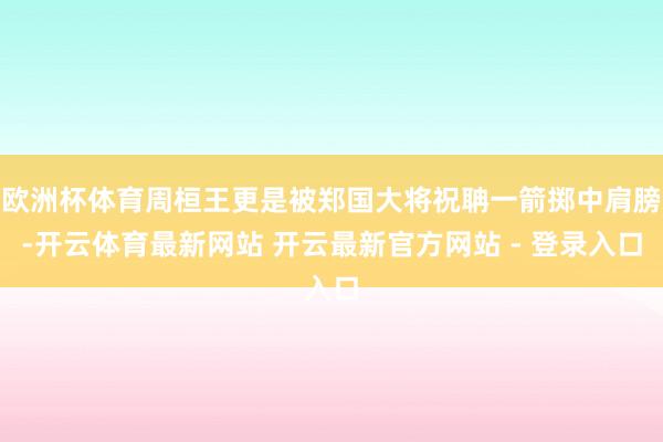 欧洲杯体育周桓王更是被郑国大将祝聃一箭掷中肩膀-开云体育最新网站 开云最新官方网站 - 登录入口