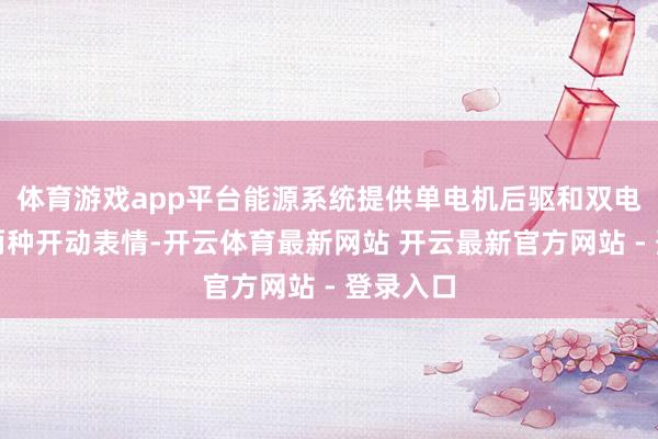 体育游戏app平台能源系统提供单电机后驱和双电机四驱两种开动表情-开云体育最新网站 开云最新官方网站 - 登录入口