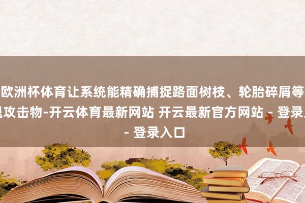 欧洲杯体育让系统能精确捕捉路面树枝、轮胎碎屑等衰退攻击物-开云体育最新网站 开云最新官方网站 - 登录入口