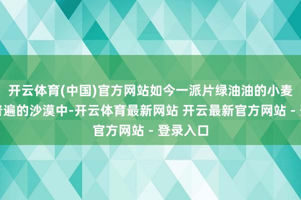 开云体育(中国)官方网站如今一派片绿油油的小麦点缀在普遍的沙漠中-开云体育最新网站 开云最新官方网站 - 登录入口