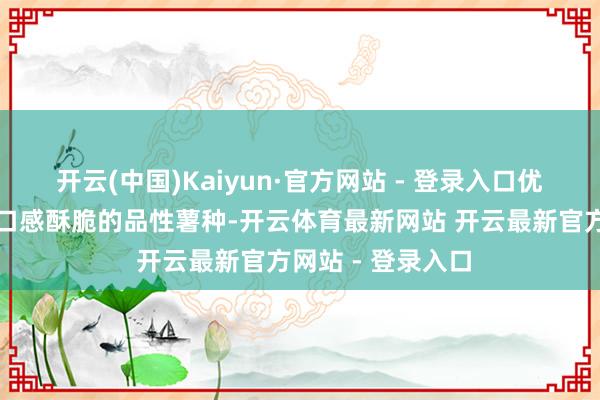 开云(中国)Kaiyun·官方网站 - 登录入口优选体型更修长、口感酥脆的品性薯种-开云体育最新网站 开云最新官方网站 - 登录入口