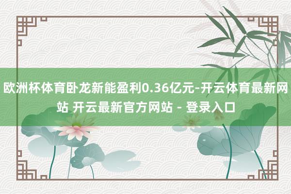 欧洲杯体育卧龙新能盈利0.36亿元-开云体育最新网站 开云最新官方网站 - 登录入口