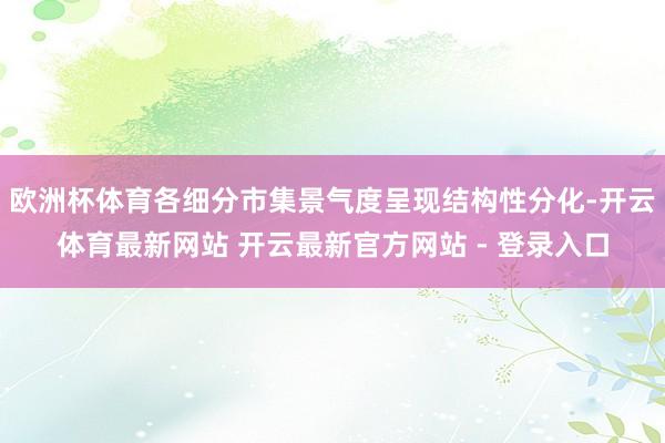 欧洲杯体育各细分市集景气度呈现结构性分化-开云体育最新网站 开云最新官方网站 - 登录入口