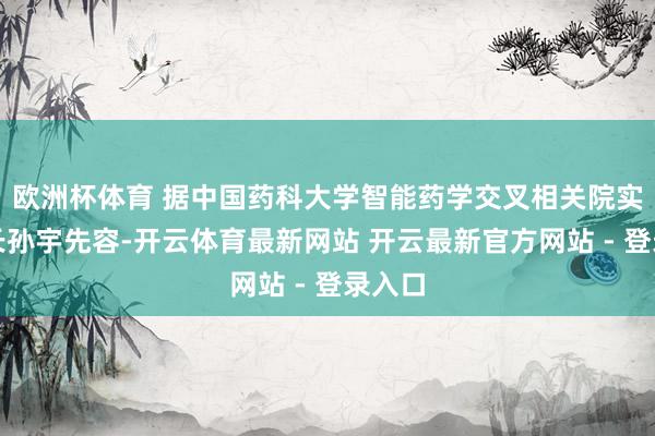 欧洲杯体育 据中国药科大学智能药学交叉相关院实行院长孙宇先容-开云体育最新网站 开云最新官方网站 - 登录入口